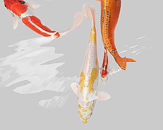 《光环》新作将采用虚幻引擎 343正大举招募关键职位